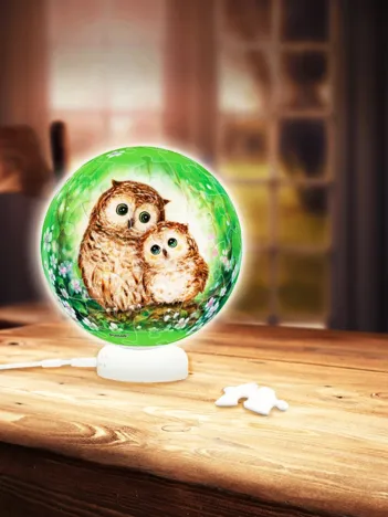 Produit Puzzle 3D - Sphere Light - Hiboux et Chatons Image