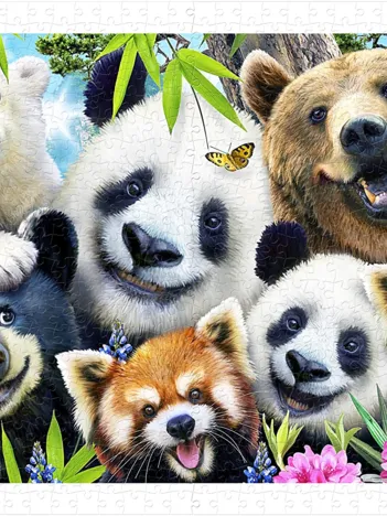 Produit Howard Robinson - Selfie Bear Essentials Image