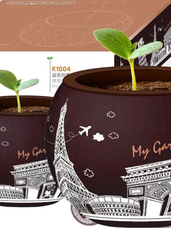 Produit Puzzle 3D - Flower Pot - Modern Architectures Image