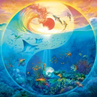 Yin & Yang Au royaume des animaux marins