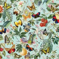 Fruit and Flutterbies