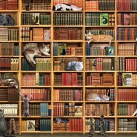 The Cat Library