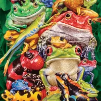 Frog Business