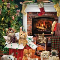 Christmas Kittens