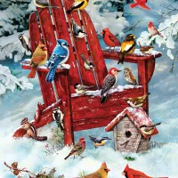 Oiseaux des Adirondacks
