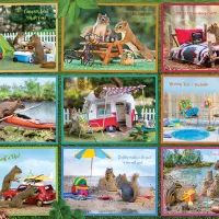 Écureuils en Vacances