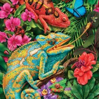 Caméléon du Karma