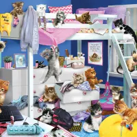 Soirée Pyjama pour Chatons