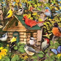 Cabane d'Oiseaux