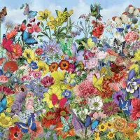 Butterfly Garden