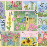 Oiseaux de Jardin en Été