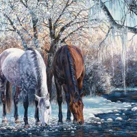 La Beauté de l'Hiver