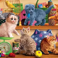 Pet Shop Kittens