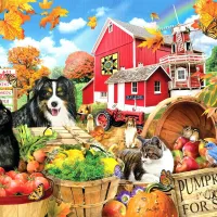 Amis de la Ferme