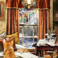 Chats D'Hiver