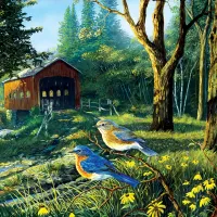 Terry Doughty - Sleepy Hollow Blue Birds