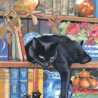 Chrissy Snelling - On the Shelf