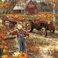 Dona Gelsinger - The Pumpkin Patch Farm