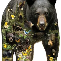 Pièces XXL - Greg Giordano - Forest Bear