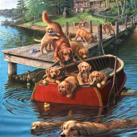 Pièces XXL - Dog Paddle