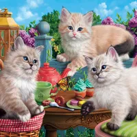 Kitten Tea Party