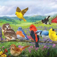 Pièces XXL - Oiseaux de l'Est