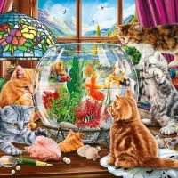 Pièces XXL - Chatons et Aquarium