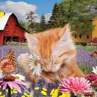 J'adore les Fleurs
