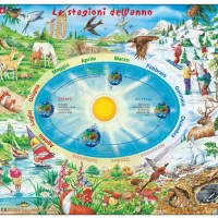Puzzle Cadre - Le stagioni dell'anno (en Italien)