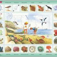 Puzzle Cadre - Puzzle Nature - Bord de Mer (Espagnol)