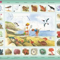 Puzzle Cadre - Bord de mer (en italien)