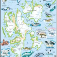 Puzzle Cadre - Norvège : Le Svalbard et ses Animaux (Noms des animaux en Norvégien)