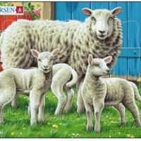 Puzzle Cadre - Moutons