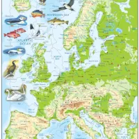 Puzzle Cadre - Europe (en Anglais)