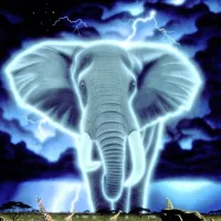 Schim Schimmel - Spirit of Africa