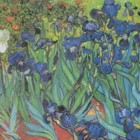 Vincent Van Gogh - Saint-Remy - Les Iris, 1889
