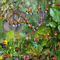 François Ruyer - La Jungle 2