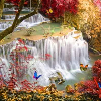 Deep Forest Waterfall