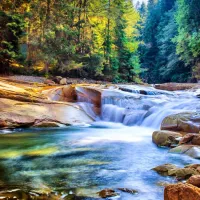 Belle Cascade dans la Forêt