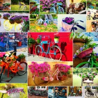 Collage - Vélos