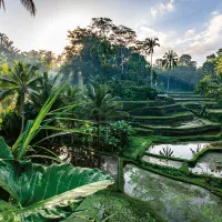 Au Coeur de Bali