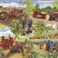 Année Agricole