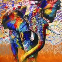 African Colours