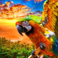 Parrot