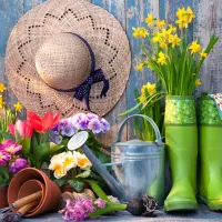 Ready for the Garden