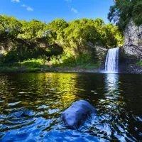 Bassin de la Paix, La Réunion, France