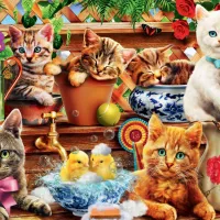 Kittens in the Potting Shed