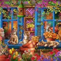 Chats sur le Rebord de la Fenêtre