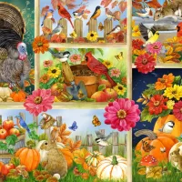 Les Couleurs de l'Automne