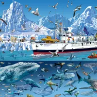 François Ruyer - Arctic - Bluebird Boat